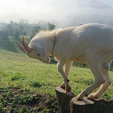 ไร่นิธิสุนทร Nithisoonthon Farmstay Mae Hong Son Dış mekan fotoğraf