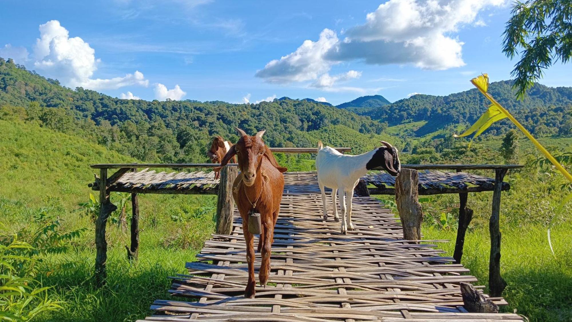 ไร่นิธิสุนทร Nithisoonthon Farmstay Mae Hong Son Dış mekan fotoğraf