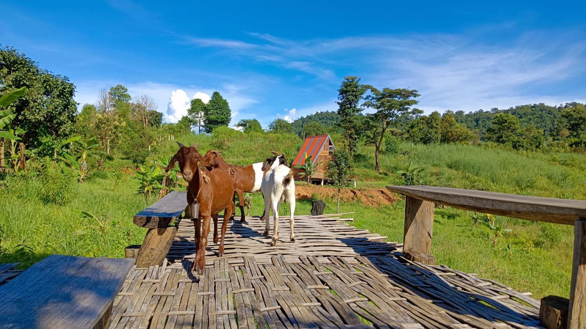 ไร่นิธิสุนทร Nithisoonthon Farmstay Mae Hong Son Dış mekan fotoğraf