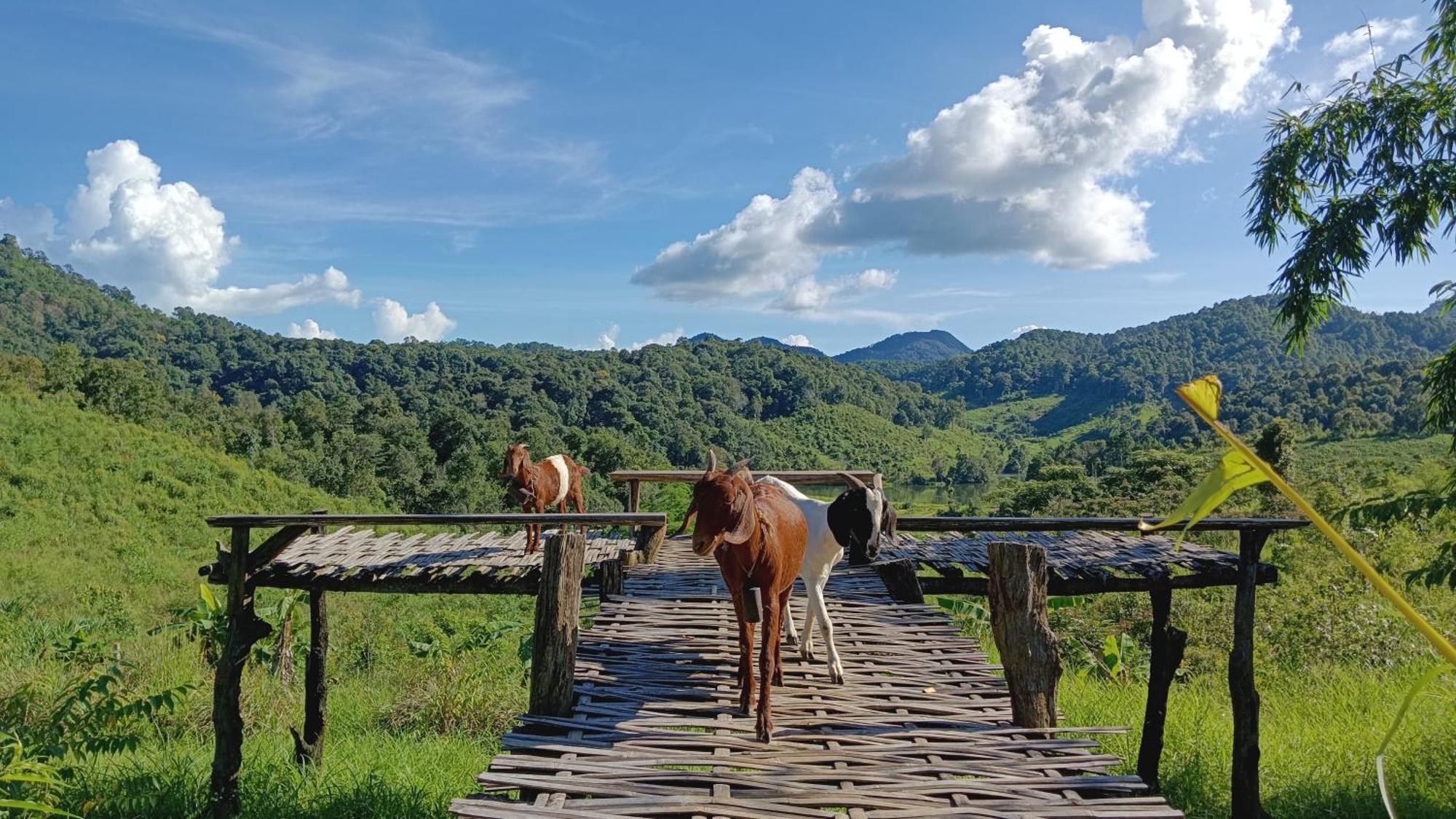 ไร่นิธิสุนทร Nithisoonthon Farmstay Mae Hong Son Dış mekan fotoğraf