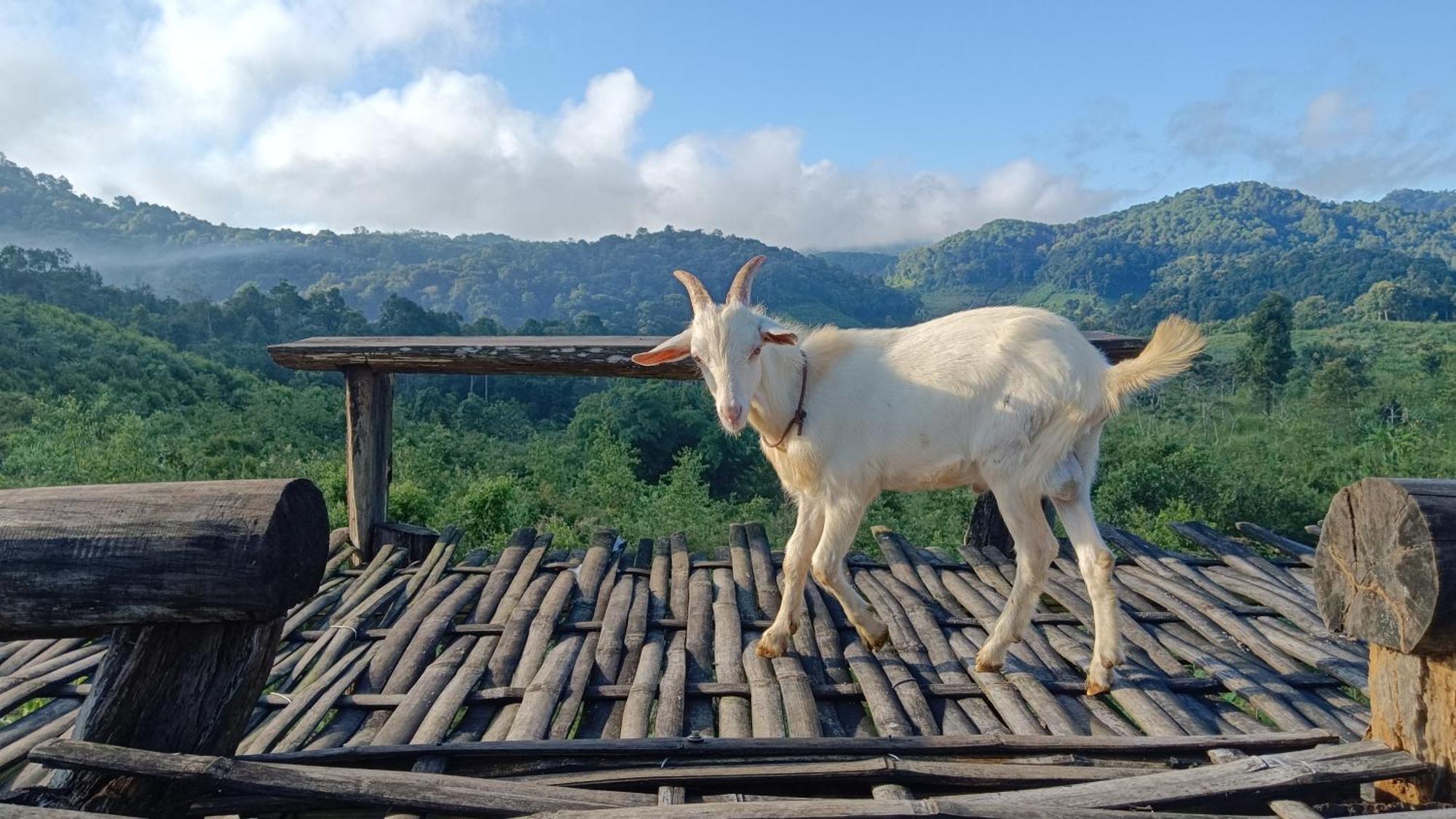 ไร่นิธิสุนทร Nithisoonthon Farmstay Mae Hong Son Dış mekan fotoğraf