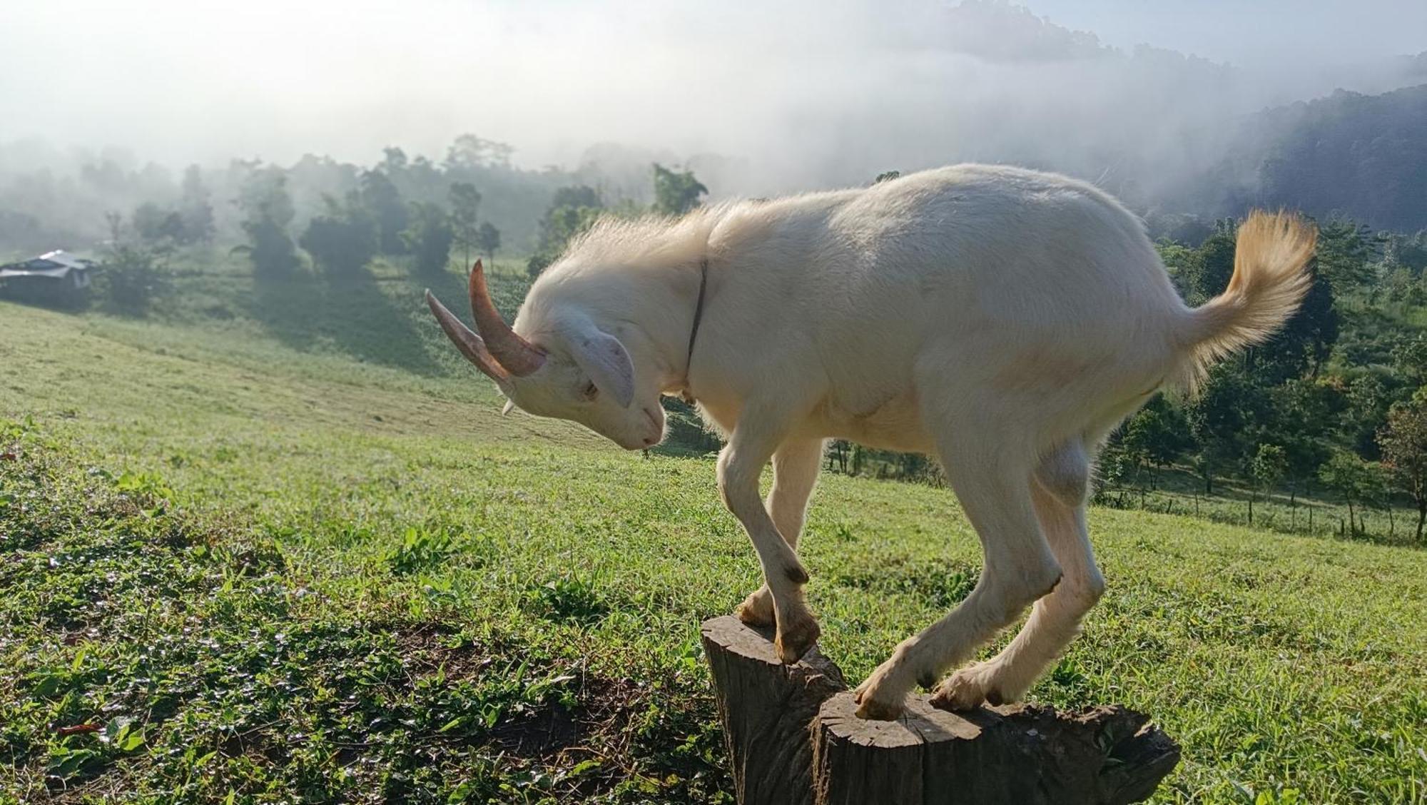 ไร่นิธิสุนทร Nithisoonthon Farmstay Mae Hong Son Dış mekan fotoğraf