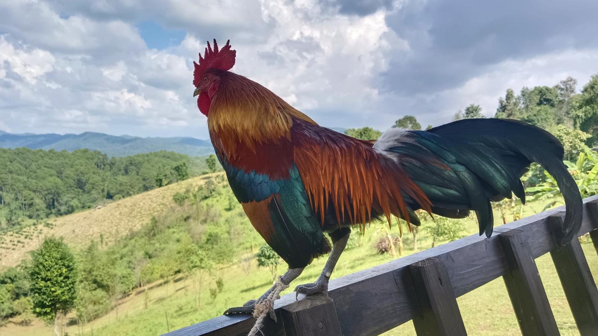 ไร่นิธิสุนทร Nithisoonthon Farmstay Mae Hong Son Dış mekan fotoğraf