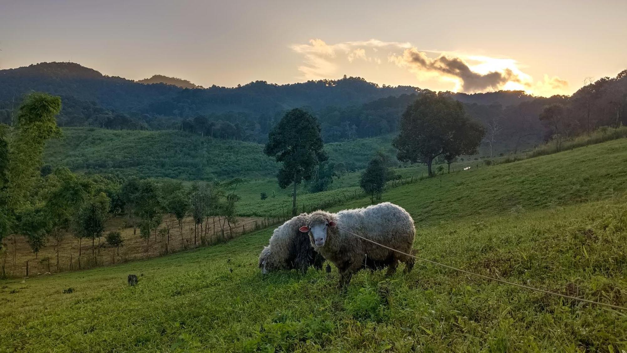 ไร่นิธิสุนทร Nithisoonthon Farmstay Mae Hong Son Dış mekan fotoğraf
