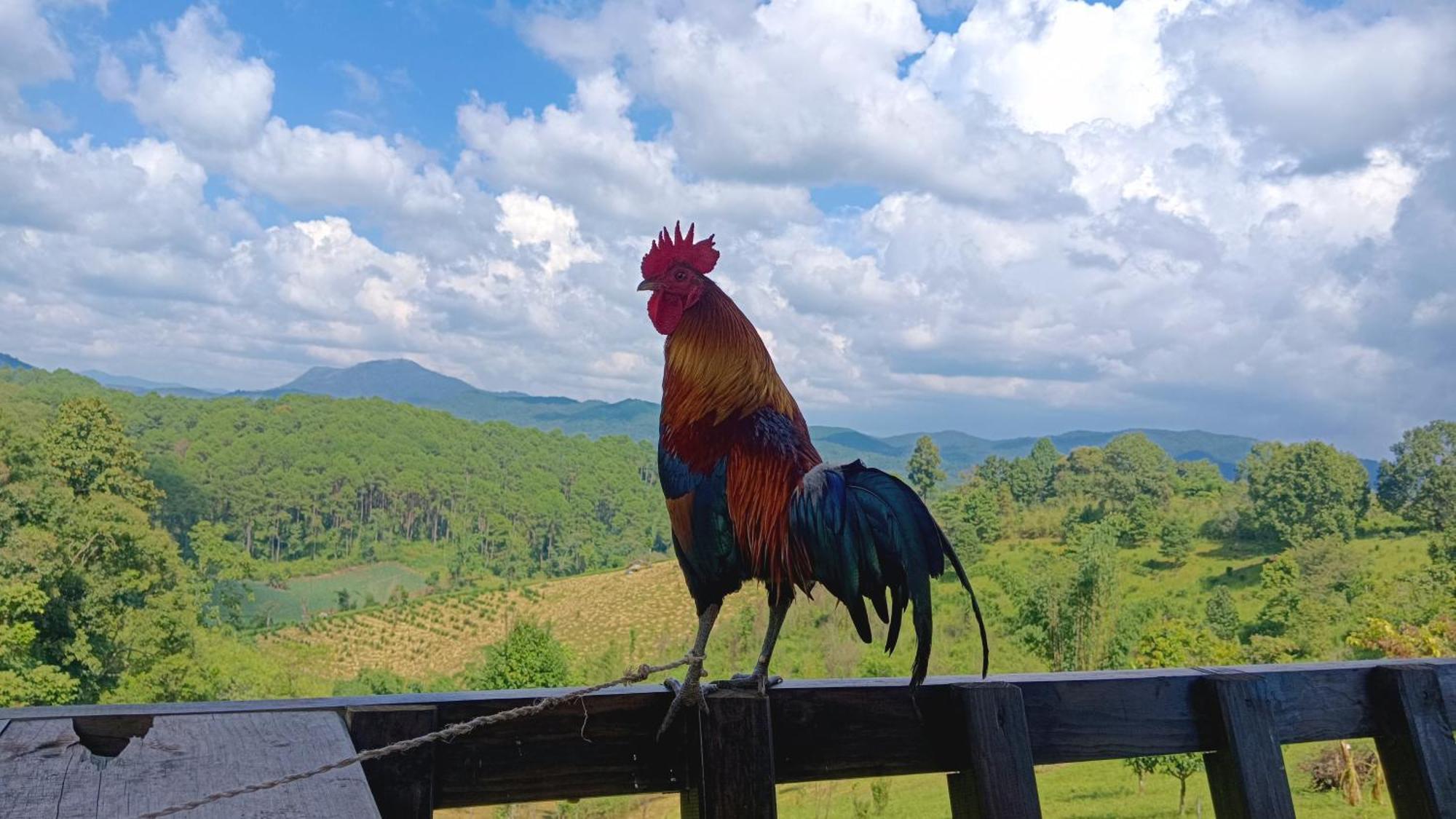 ไร่นิธิสุนทร Nithisoonthon Farmstay Mae Hong Son Dış mekan fotoğraf