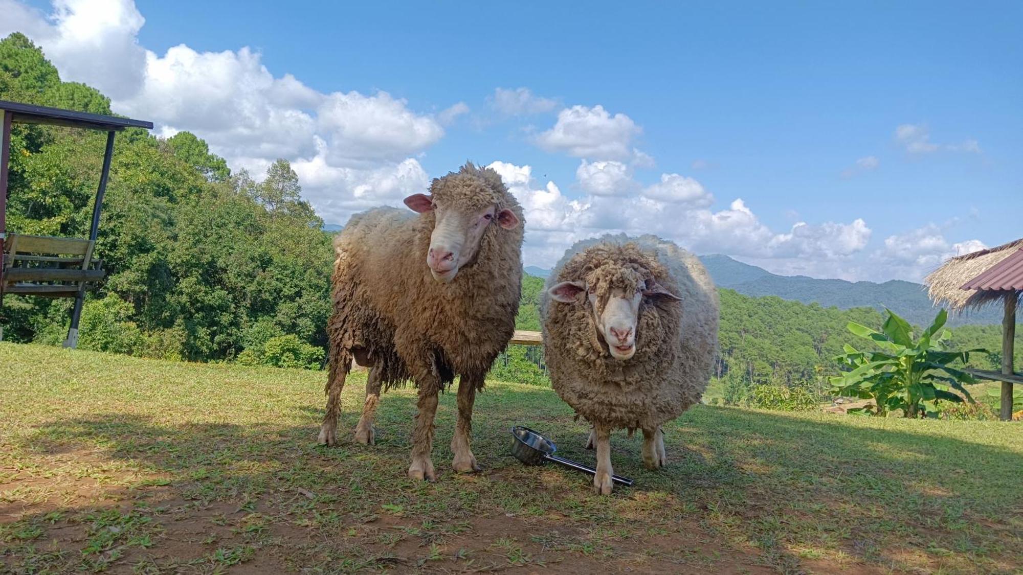 ไร่นิธิสุนทร Nithisoonthon Farmstay Mae Hong Son Dış mekan fotoğraf